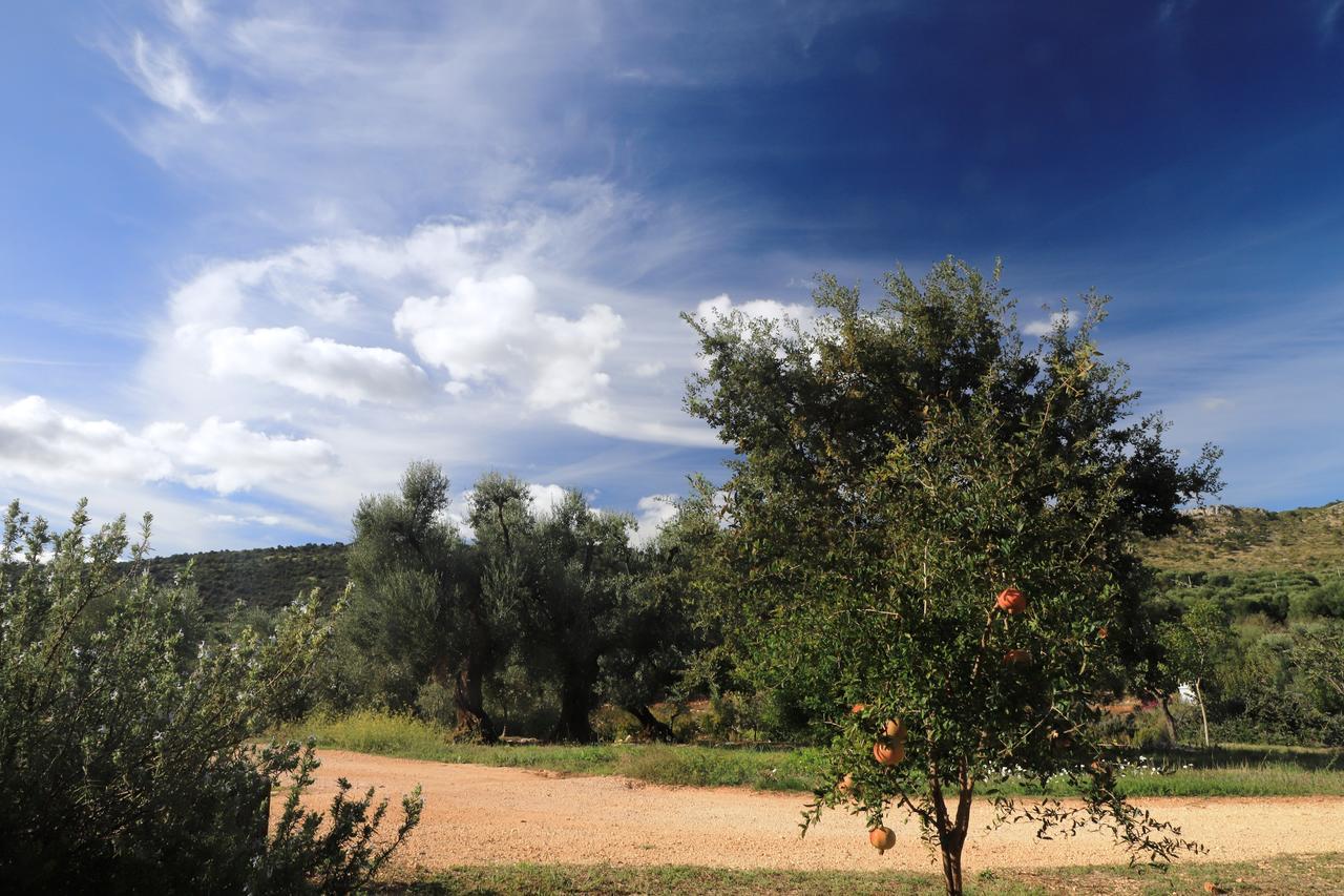 Masseria Lama Di Galizia Остуни Экстерьер фото